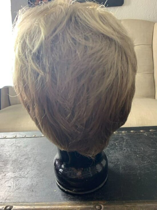NIB Jon Renau Short Wig Model #5448 Gina Color 22F16 main image 5